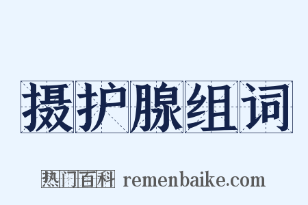 摄护腺组词是什么意思的图片